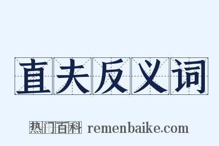直夫反义词是什么意思的图片